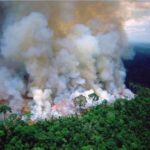 Prefeitura de Manaus se une aos demais municípios do AM e cria comitê para combater queimadas!