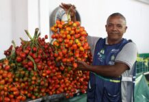 ADS e Afeam disponibilizam linhas de crédito para feirantes e moveleiros