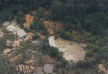 Prazo para Projetos de Restauração em Terras Indígenas é Estendido até 27 de Fevereiro