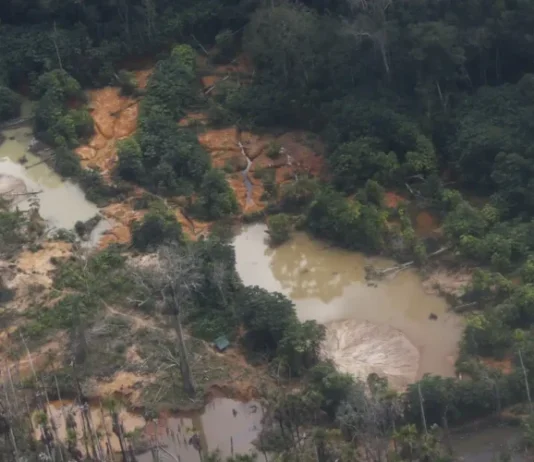 Prazo para Projetos de Restauração em Terras Indígenas é Estendido até 27 de Fevereiro