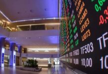Ibovespa Atinge Novo Recorde Acima de 175 Mil Pontos Impulsionado por Capital Estrangeiro e Alívio Global