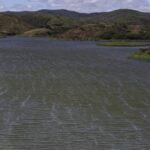 Rio São Francisco ultrapassa cota de alerta em trecho, mas risco de inundação é moderado em cidades ribeirinhas