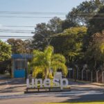 Unesp divulga aprovados no vestibular 2026: confira a lista e datas de matrícula