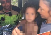 Menina de 4 anos desaparecida em mata é encontrada em Minas Gerais