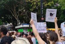 Protesto na Avenida Paulista pede justiça pelo cão Orelha e debate maioridade penal