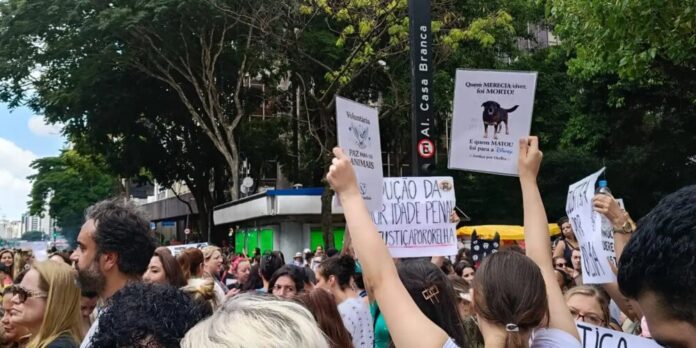 Protesto na Avenida Paulista pede justiça pelo cão Orelha e debate maioridade penal