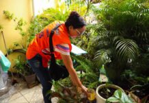 Prefeitura de Manaus alerta para aumento de acidentes com animais peçonhentos no inverno amazônico