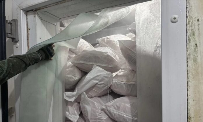 Frigorífico de Pescados em Manacapuru é Multado em R$ 2 Milhões por Irregularidades e Descumprimento de Embargo Ambiental