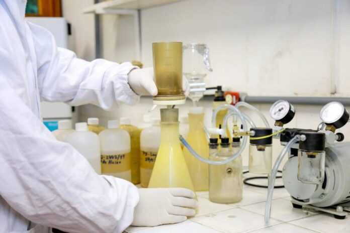 Amazonas lança 15 editais com mais de R$ 81 milhões para ciência