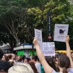 Polícia pede internação de adolescente envolvido na morte do cão Orelha