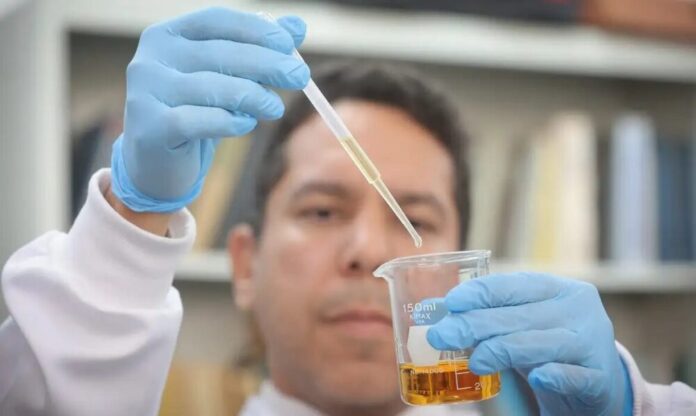 Alerta de Saúde: Estado de São Paulo registra 12ª morte por metanol em bebidas; 52 casos confirmados