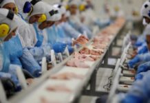 Confiança da indústria brasileira recua pelo 14º mês consecutivo em fevereiro