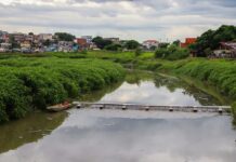 Manaus fortalece proteção do rio Negro com a 14ª ecobarreira