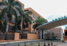 Anvisa aprova Sephience, novo medicamento para tratamento de fenilcetonúria no Brasil