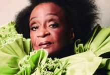 Nove escolas se apresentam neste sábado no Desfile das Campeãs de SP