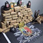 Polícia Militar do Amazonas apreende mais de 70 kg de drogas em operação na Base Arpão 2