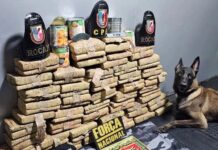 Polícia Militar do Amazonas apreende mais de 70 kg de drogas em operação na Base Arpão 2