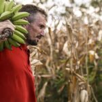 Câmara aprova uso de recursos do Fundo Garantidor de Operações (FGO) para o Pronaf