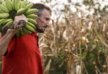 Câmara aprova uso de recursos do Fundo Garantidor de Operações (FGO) para o Pronaf