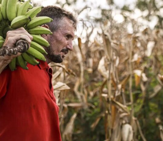 Câmara aprova uso de recursos do Fundo Garantidor de Operações (FGO) para o Pronaf