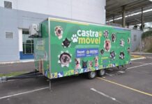 Castramóvel da Sepet agenda castração gratuita de cães e gatos no Santo Antônio