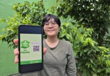 Prefeitura de Manaus lança “Disk Plantio” para arborização urbana