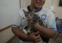 Mega Castração Amazonas: Mutirão inédito pretende esterilizar mais de 2 mil cães e gatos em 8 horas no Centro de Manaus