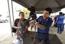 Governador Wilson Lima leva ações de saúde e cidadania a Rio Preto da Eva em seu aniversário