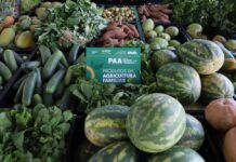 Edital do PAA abre prazo para agricultores familiares indígenas e comunidades tradicionais no Amazonas