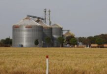 Brasil registra o sexto maior crescimento entre as economias do G20 em 2025