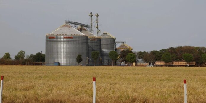 Brasil registra o sexto maior crescimento entre as economias do G20 em 2025