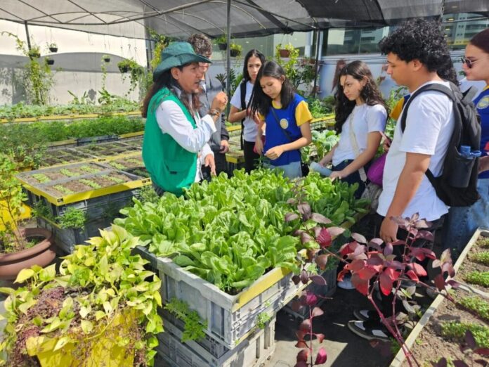 Prefeitura de Manaus lança o primeiro Circuito Ambiental com estudantes da rede municipal