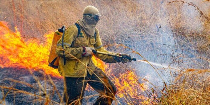 Governo detalha plano de combate a incêndios florestais para 2026 com reforço em brigadas