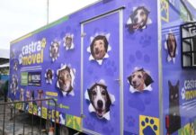 Castramóvel de Presidente Figueiredo abre agendamento para castração gratuita de cães e gatos
