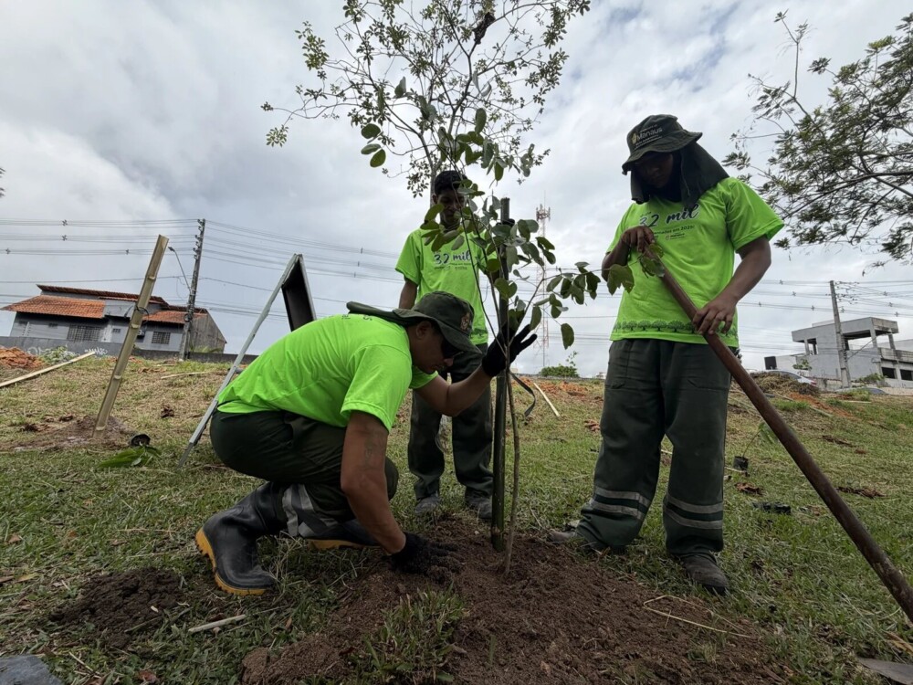 Prefeitura de Manaus planta 13.400 mudas em 2026 e avança na arborização da capital