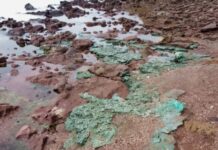 Rochas plásticas chegam a ninhos de tartarugas na ilha de Trindade