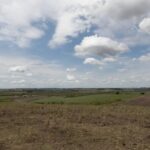 Fevereiro registra abrandamento da seca em quatro regiões do Brasil, aponta Monitor de Secas