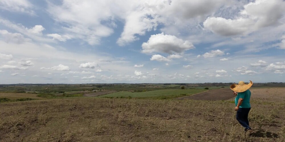 Fevereiro registra abrandamento da seca em quatro regiões do Brasil, aponta Monitor de Secas
