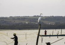 Sexto lote do seguro-defeso paga R$ 179,7 milhões a pescadores artesanais na terça-feira