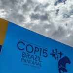 Cúpula de líderes em Campo Grande define pauta para COP15 de espécies migratórias