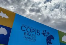 Cúpula de líderes em Campo Grande define pauta para COP15 de espécies migratórias