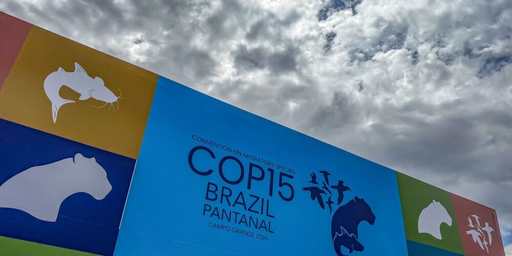 Cúpula de líderes em Campo Grande define pauta para COP15 de espécies migratórias