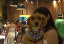 Sepet oferece castração, vacinação e adoção gratuita no Jorge Teixeira em 28 de março