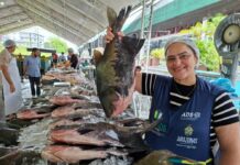 Feirão do Pescado da Semana Santa comercializa 37 toneladas em Manaus e movimenta R$ 1 milhão