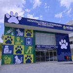 HPVet-AM celebra mais de 33 mil animais atendidos em seis meses