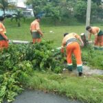 Prefeitura de Manaus remove 12 toneladas de lixo e árvores após forte chuva para evitar alagamentos