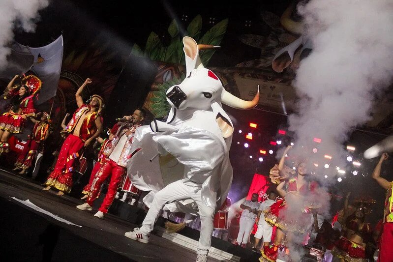 Ensaio dos Bumbás 2026: Curral do Garantido celebra 30 anos do MAG em Manaus