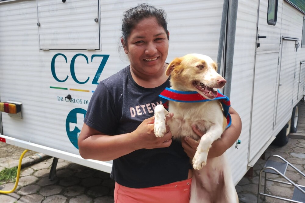 Prefeitura de Manaus abre novas vagas para castração de cães e gatos no CCZ nesta quarta-feira