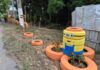 Manaus: Lixeira viciada na Cidade Nova é eliminada e transformada em jardim urbano