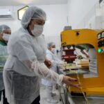 Dia Mundial das Abelhas: Idam destaca atuação com mais de mil meliponicultores no Amazonas